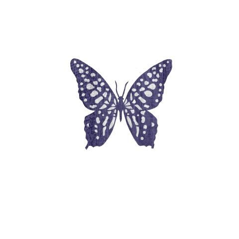 Bedank jaarkaart kindje met zacht blauw en illustratie vlinder