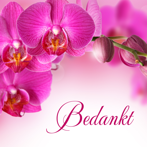 Bedankkaart met fel roze orchidee