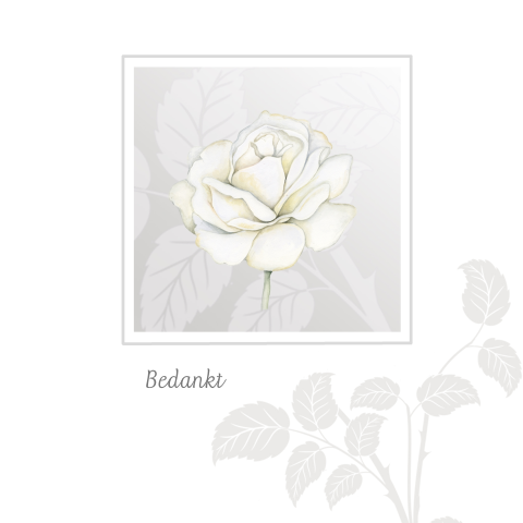 Bedankt kaart met mooi klassieke witte roos