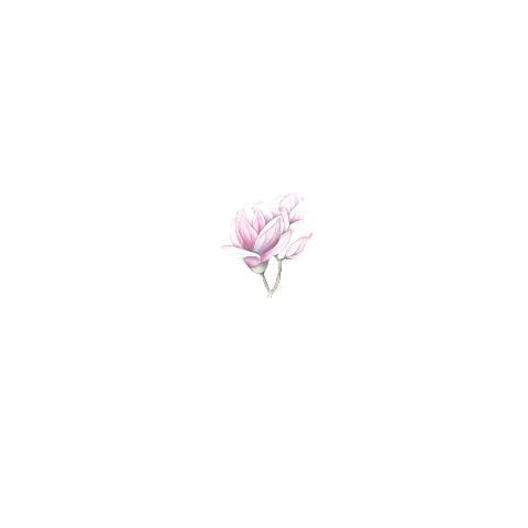 Rouwkaart in wit met roze bloem magnolia