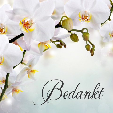 Mooie bedankkaart met witte orchidee en vergrijsd groen