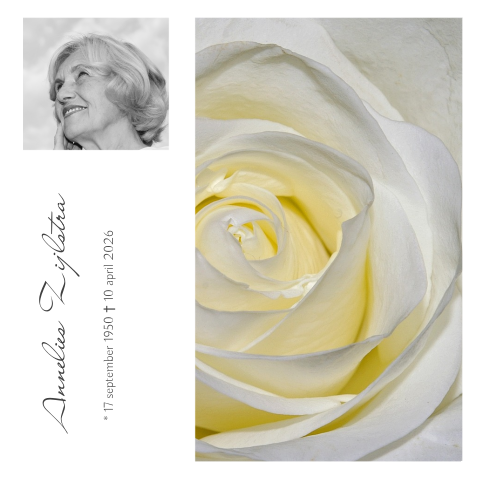 Mooie stijlvolle rouwkaart wit met gele roos