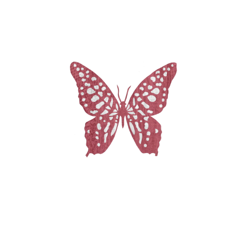 Programmakaart voor een overleden kindje met roze rode vlinder