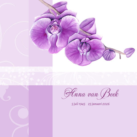 Rouwkaart orchidee bloem purple