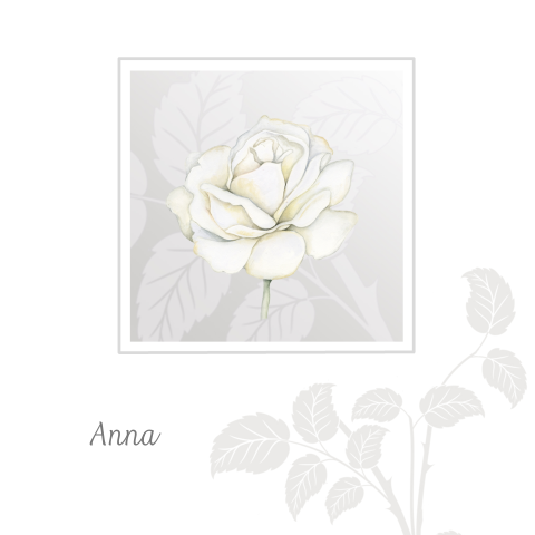 Rouwkaart in wit met grijs met mooie witte roos