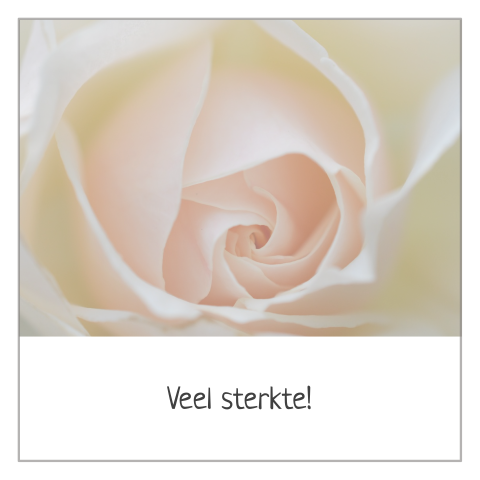 Rouwkaart voor veel sterkte met mooie roos