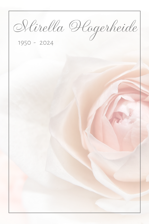 Rouwkaart voor een vrouw of man met licht roze roos