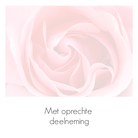 Stijlvolle condoleancekaart met roze roos en grijs rouwkader