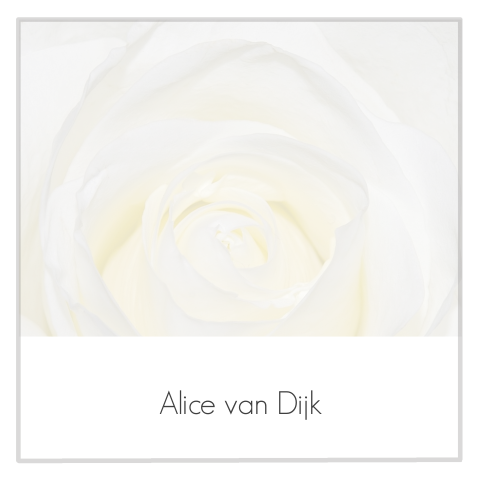 Stijlvolle jaarkaart met geel witte roos en grijs rouwkader