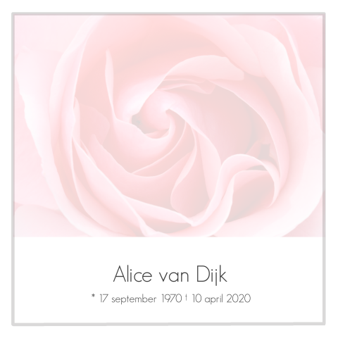 Stijlvolle rouwkaart met roze roos en grijs rouwkader