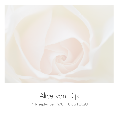 Stijlvolle rouwkaart met roze witte roos en grijze tekst