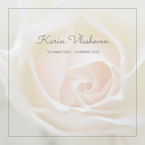 Stijlvolle warme rouwkaart vrouw witte roze roos en rouwrand