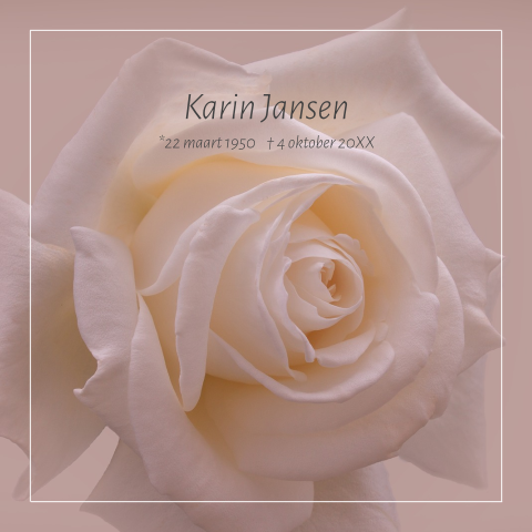 Stijlvolle warme rouwkaart vrouw witte roze roos en rouwrand