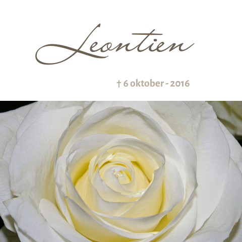 Trendy rouwkaart stijlvol ontwerp met witte roos