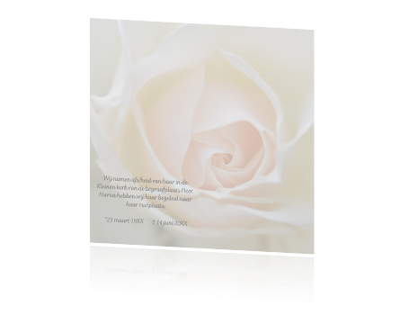 Grondig linnen karton Mooie warme herinneringskaart met grote witte roze roos