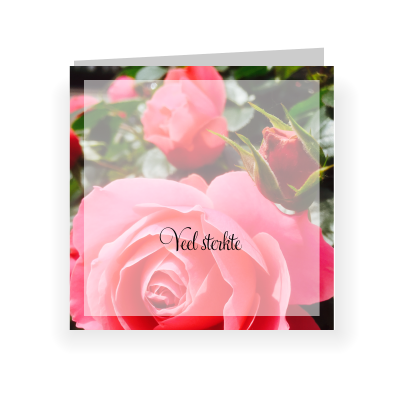 Sterkte kaart na overlijden met roze roos